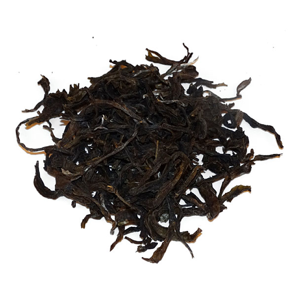 Tansania Usambara Green